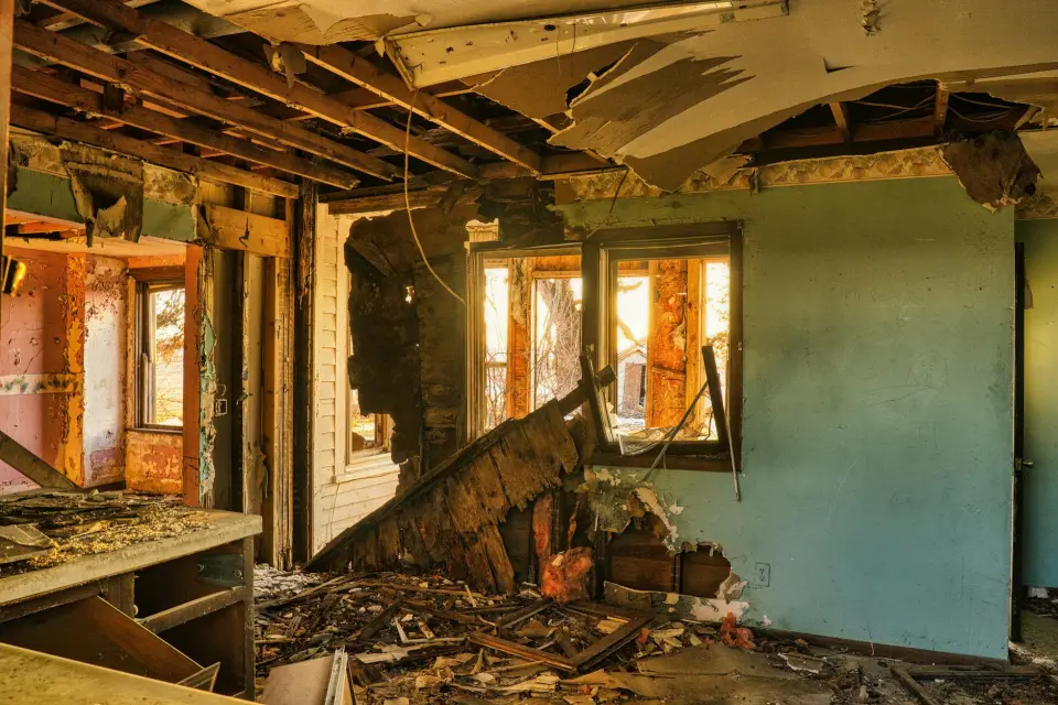 Iron Star Mold Removal: Austin's Leading Mold Remediation Company — Austin, TX